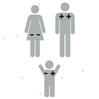 Illustration af rh faktor: baby er +-RH positiv