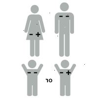 Illustration af rh faktor: baby er +-RH positiv